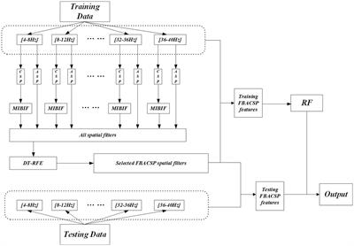 Improved motor imagery classification using adaptive spatial filters based on particle swarm optimization algorithm